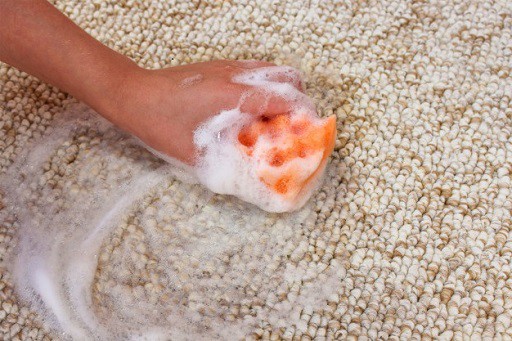 clean carpet with detergent
