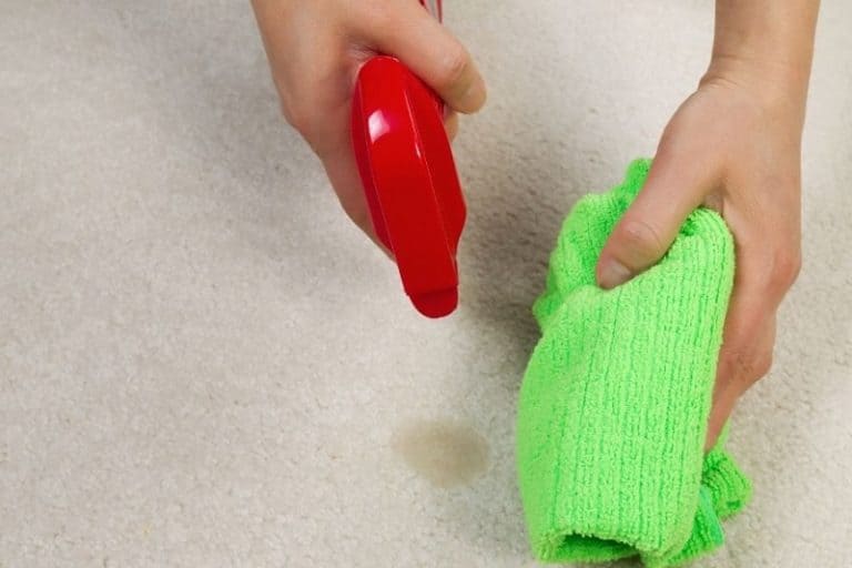 4-genius-ways-how-to-get-oil-based-paint-out-of-carpet