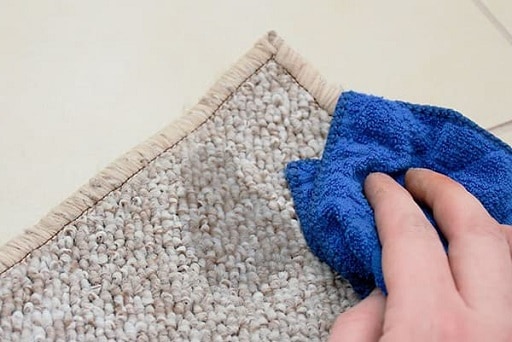 wipe carpet with damp cloth