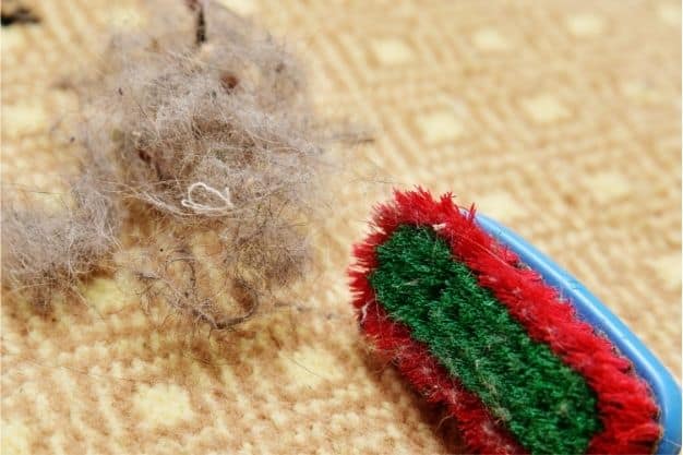 how to get hair out of carpet
