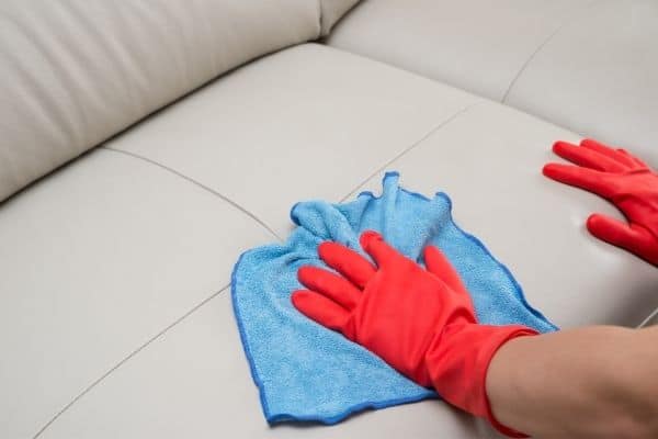 how to clean vomit from the leather sofa