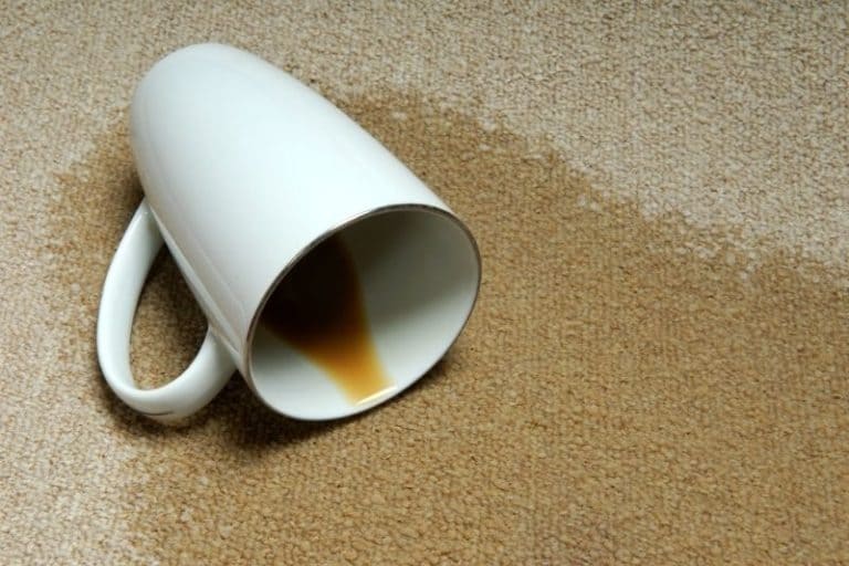 10 Hacks How to Get a Coffee Stain Out of Absolutely Anything!