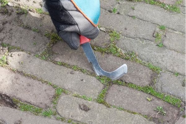 scraping moss off paver