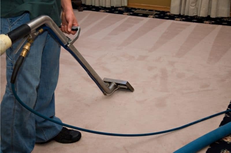 steam cleaning carpet