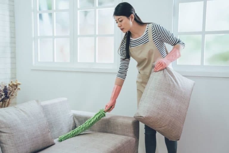 How to Steam Clean Your Couch StepbyStep Guide