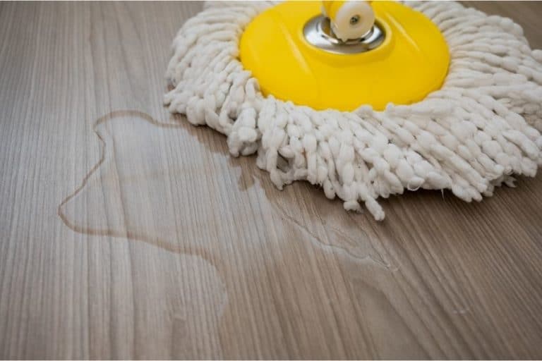 Flat Mop vs String Mop Everything You Want to Know