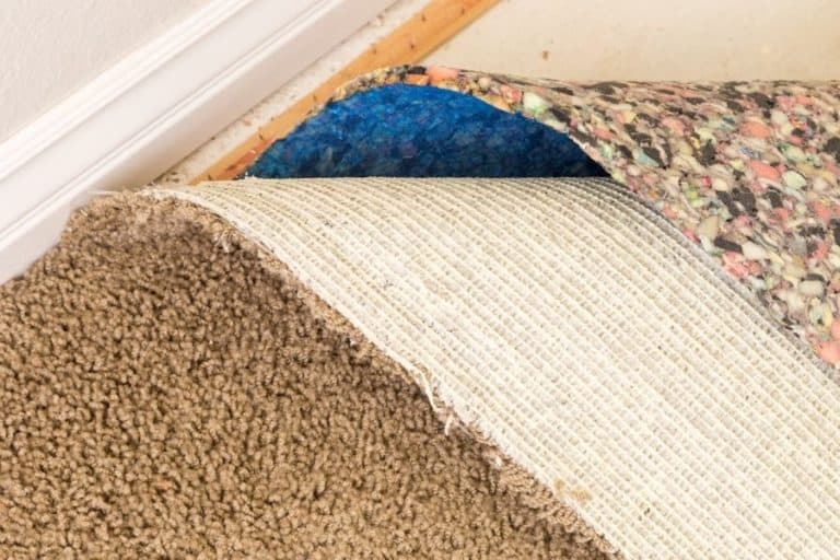 5 Tips on Drying Carpet After Water Damage