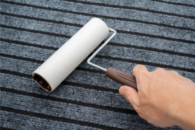 9 Ways to Clean Carpet Without Vacuum