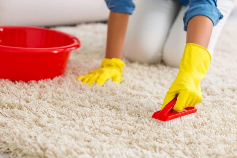 9 Ways to Clean Carpet Without Vacuum