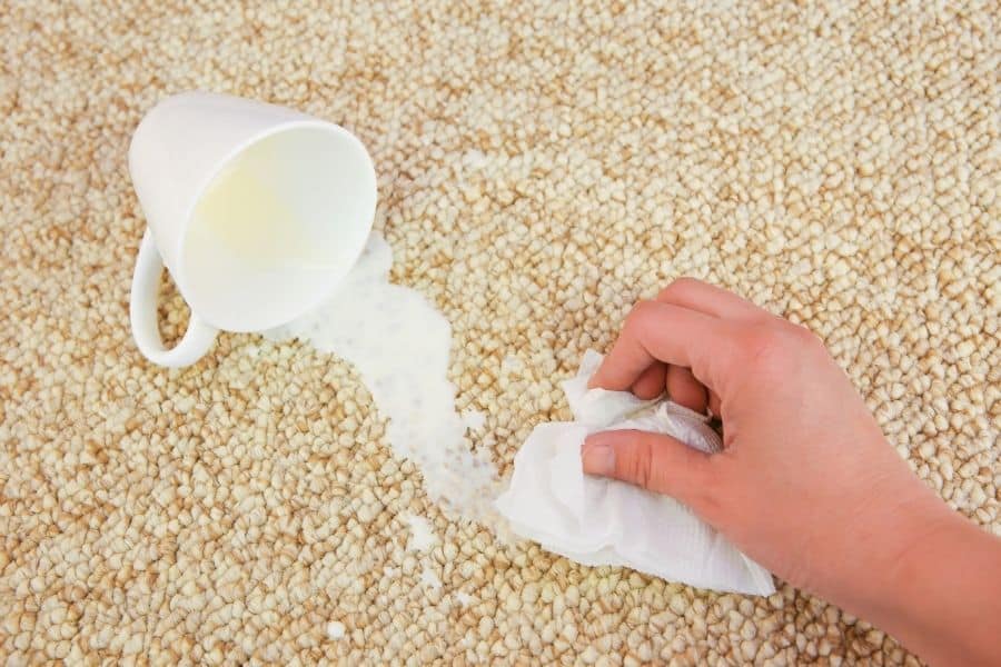 cleaning spilled milk on carpet