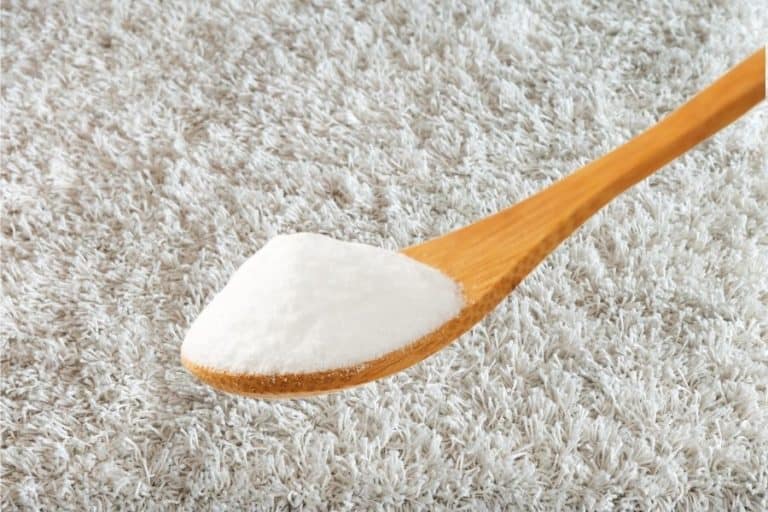 4 Easy Homemade Carpet Cleaner for Pet Stains