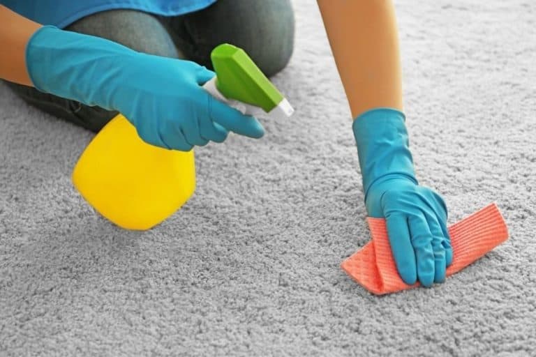 7 Easy Steps on How to Get Rubber Cement Out of Carpet