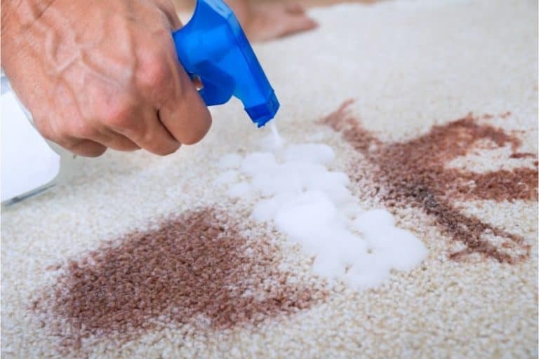 How To Clean Spilled Milk On Carpet
