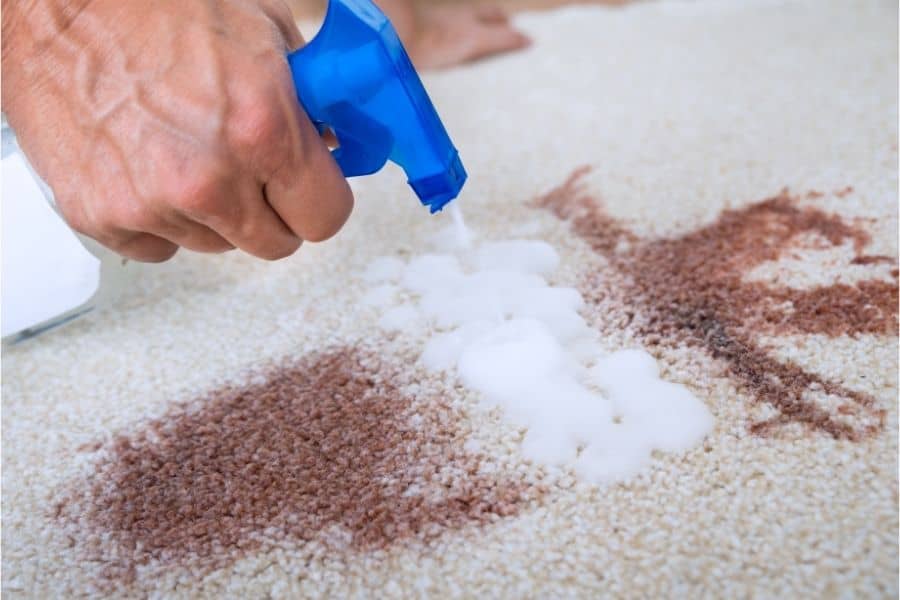 how to remove chocolate milk stains from carpet
