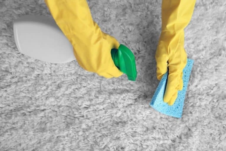 Do’s and Don’ts of Cleaning Carpets with Ammonia