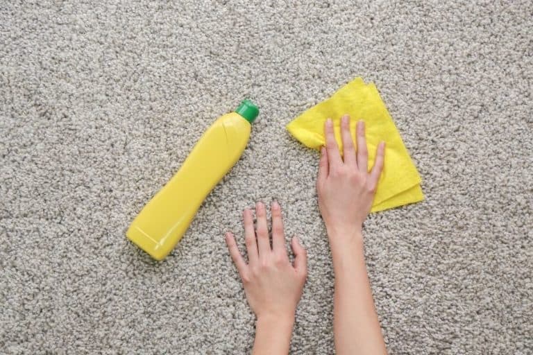 4 Tips on How to Remove Dried Nail Polish from Carpet
