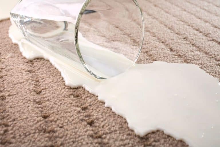 How To Clean Spilled Milk On Carpet