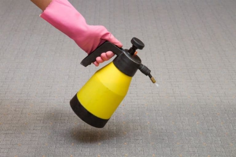 Can You Use Fabric Softener on Carpet?