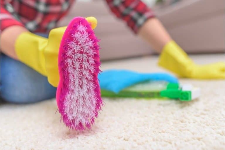 3 Effective Tips for Cleaning Carpet Without a Shampooer