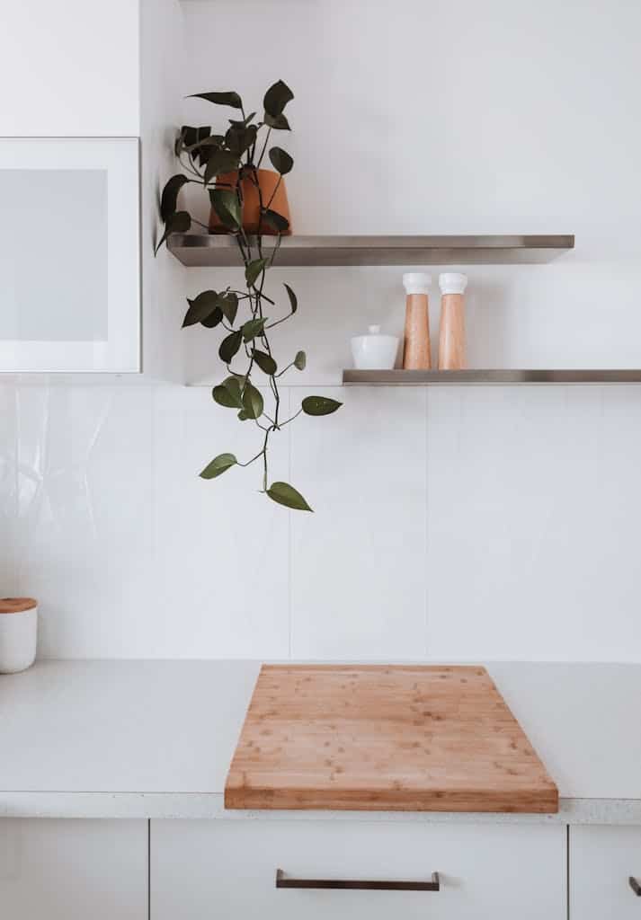 Elegant minimalist kitchen with wooden elements and indoor plant decor.