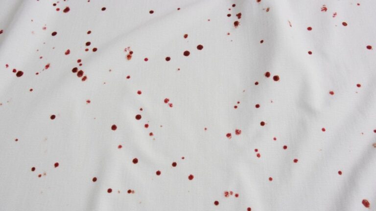 Do Blood Spots On Sheets Mean Bed Bugs?