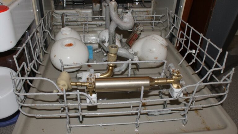 Why Is My Dishwasher Not Cleaning Well Anymore?