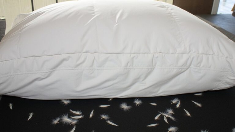 What Is Down Proof Ticking?