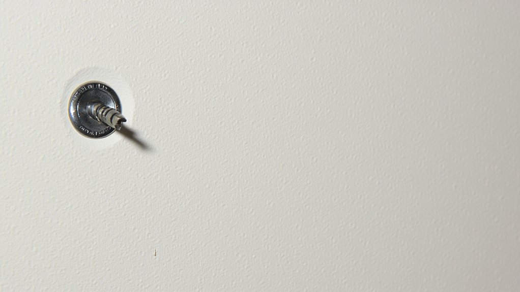 drywall screw weight capacity