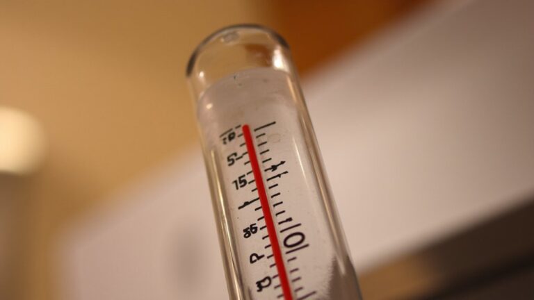 What Temperature Kills A Mouse?