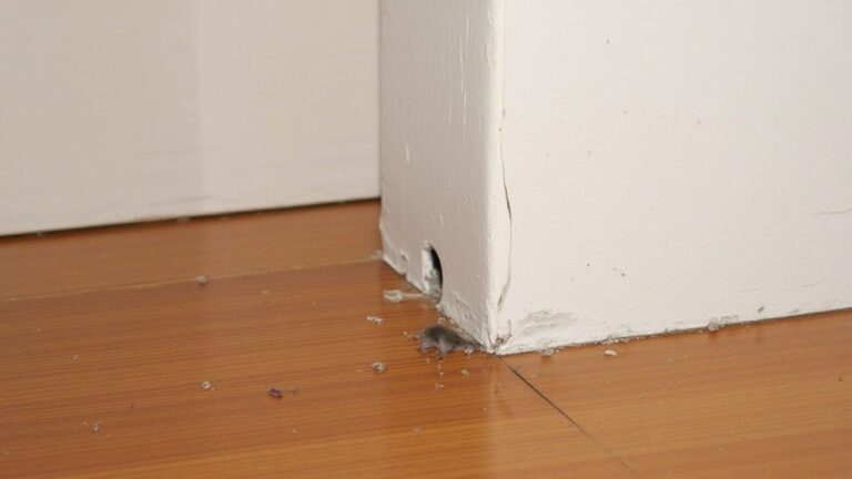 What Percentage Of Houses Have Mice?