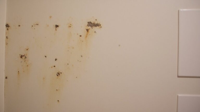 What Happens If You Use Flat Paint In Bathroom?