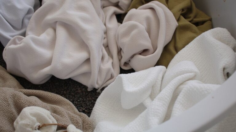 Can You Wash Clothes With Mouse Poop?