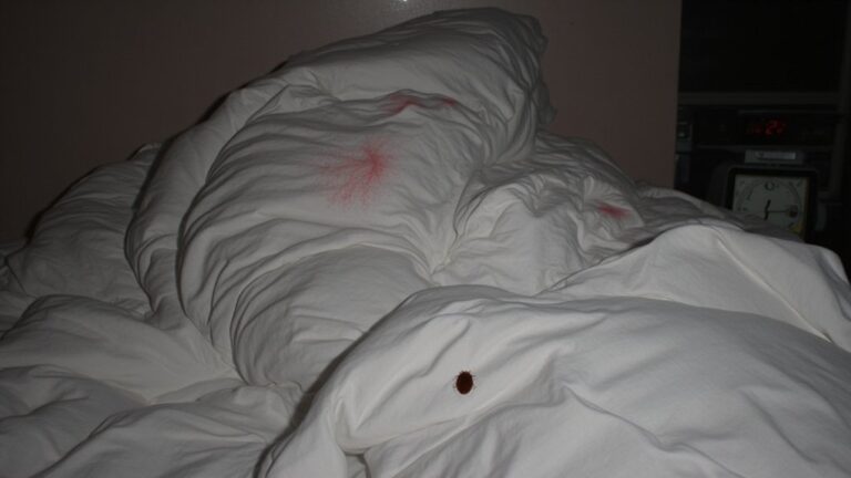 What Keeps Biting Me At Night?