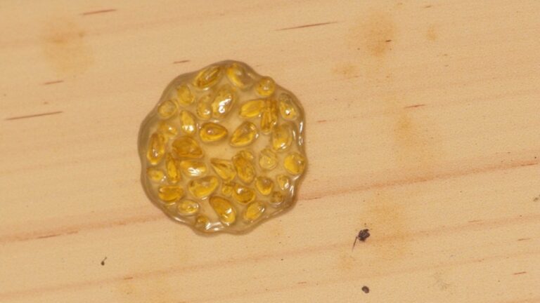 What Does Dry Mouse Urine Look Like?