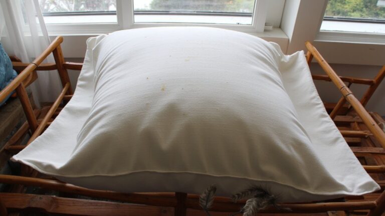 Why Do My Feather Pillows Smell After Washing?