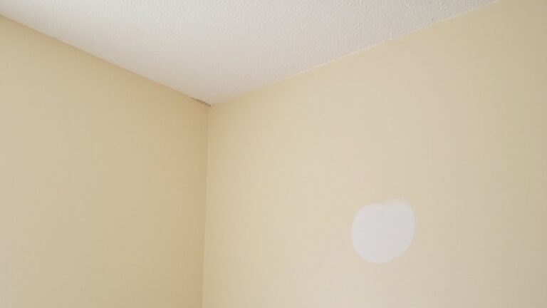Can You Spot Touch Up Wall Paint?