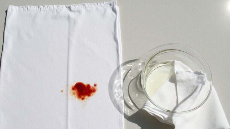 Will Vinegar Remove Blood Stain?