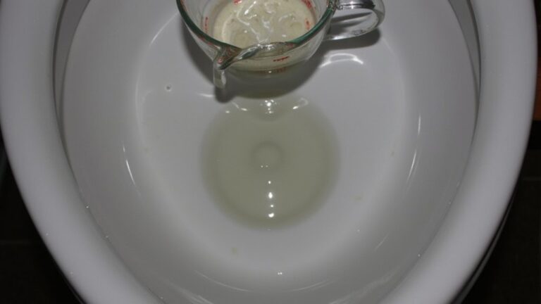 Can I Leave Vinegar In Toilet Overnight?