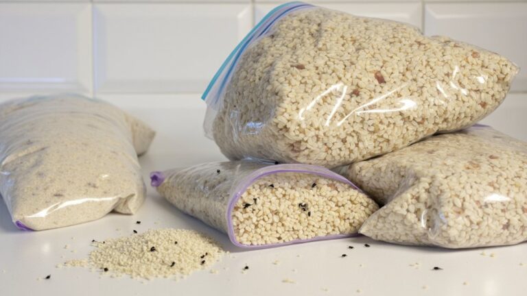 Can Weevils Get Through Ziploc Bags?